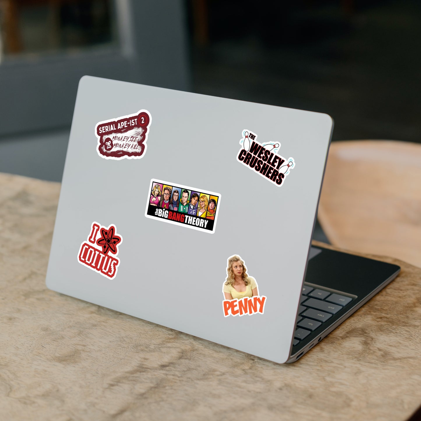 Big Bang Theory Edition Laptop Vinyl Sticker Pack Of 55