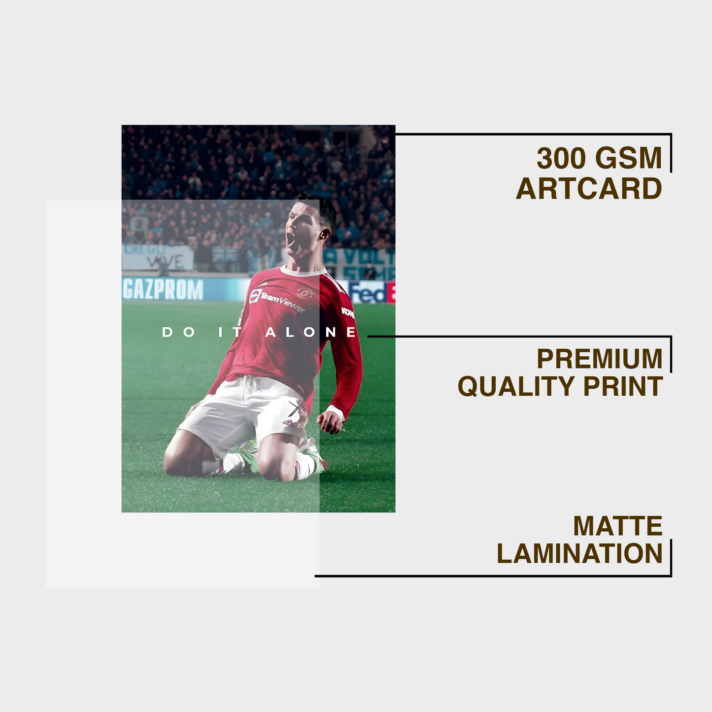 Do it Alone A4 Framed Poster