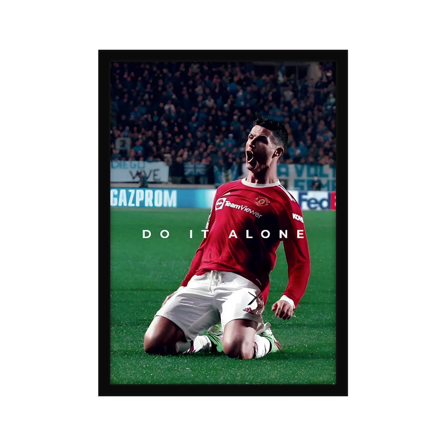 Do it Alone A4 Framed Poster